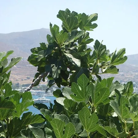 Apartment Georgy Parikia (Paros)