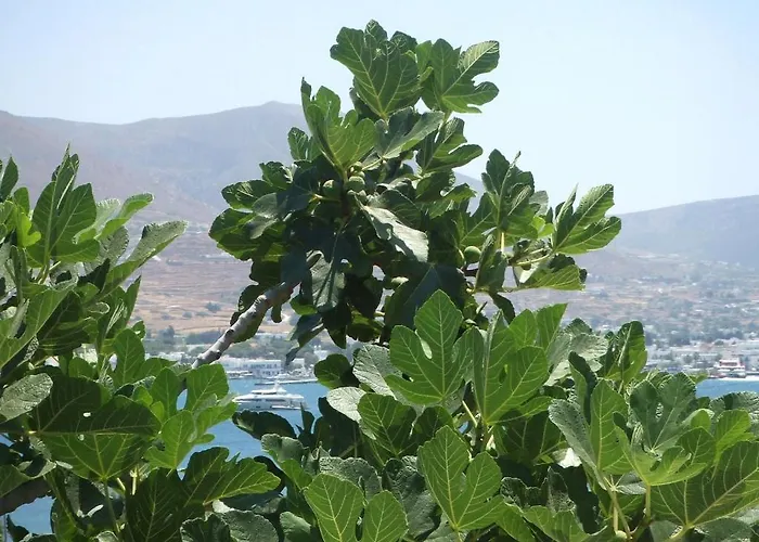 شقة Georgy باروس